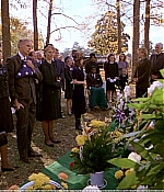 1969_560.jpg