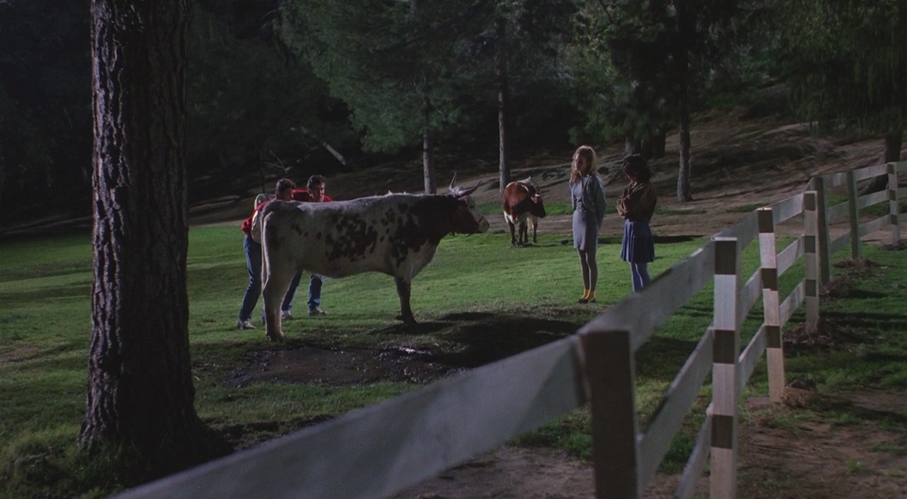 heathers_0624.jpg