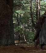 screencaptures-0332.jpg