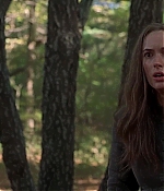 screencaptures-0351.jpg