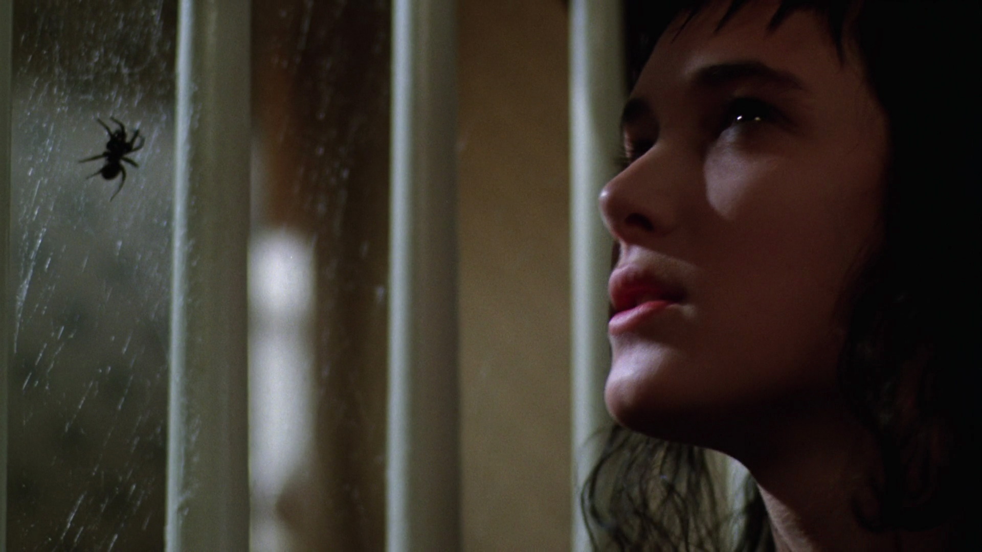 screencaptures-0017.jpg