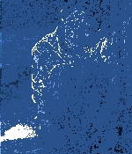83.gif