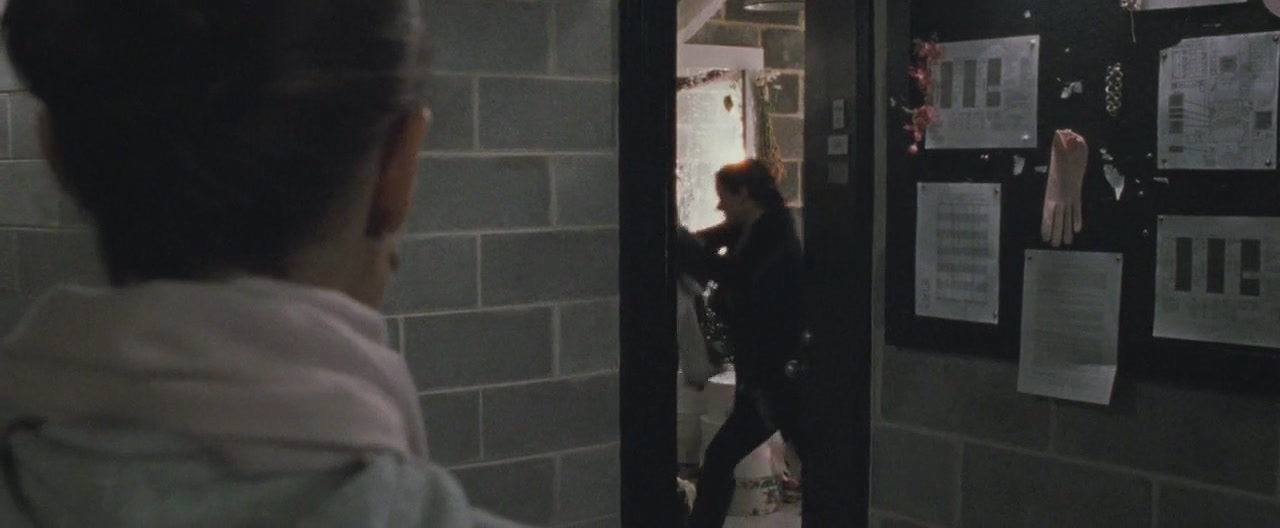 blackswan_003.jpg