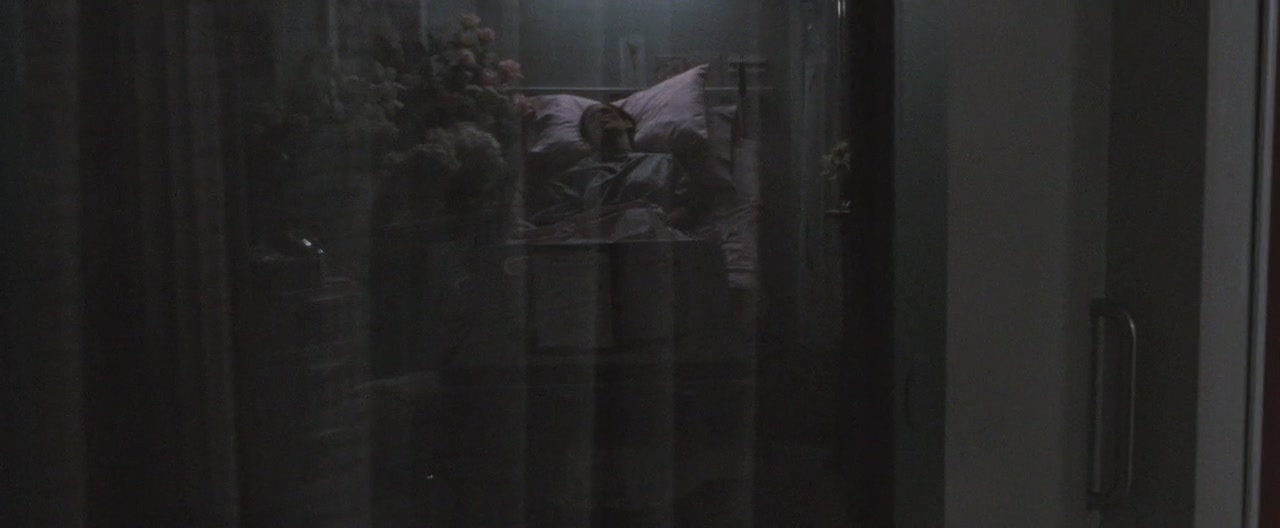 blackswan_136.jpg