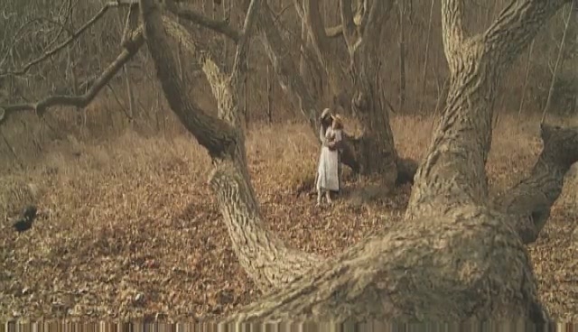 TheLoisWilsonStory-Featurette_013.jpg TheLoisWilsonStory-Featurette_013.jpg