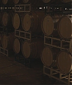 WF-DW117.jpg