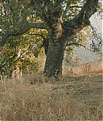 WF-DW179.jpg