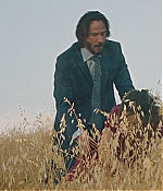 WF-DW185.jpg