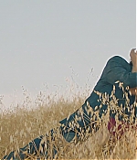 WF-DW197.jpg