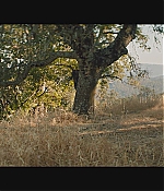 WF-DestinationWeddingTrailer_107.jpg