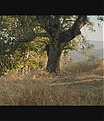 WF-DestinationWeddingTrailer_108.jpg