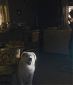 WF-StrangerThings103_214.jpg