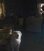 WF-StrangerThings103_215.jpg
