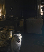 WF-StrangerThings103_220.jpg
