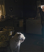 WF-StrangerThings103_221.jpg