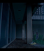 WF303-035.jpg